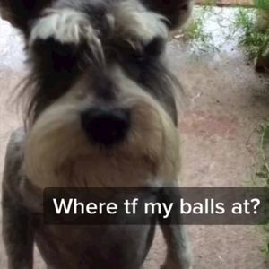 Meet your Posher, Lee